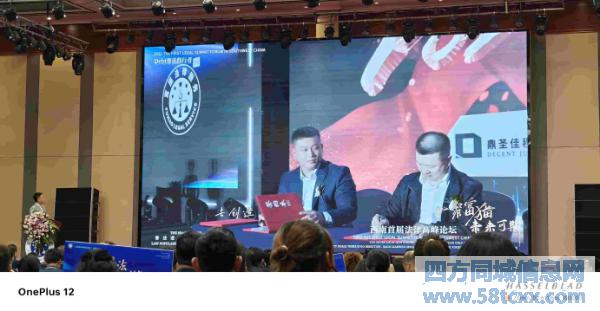 富猫法务四川攀枝花线下网点 富猫法务四川攀枝花线下网点