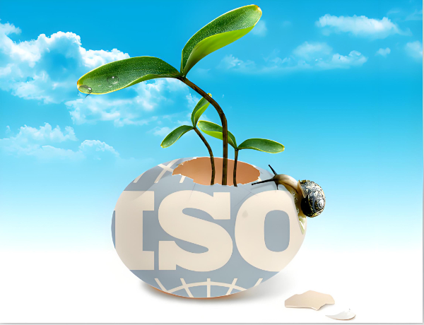 ISO 14001：企业绿色发展的助推器